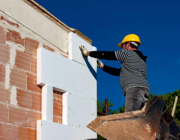 Best Cellulose Insulation in Danville, VA