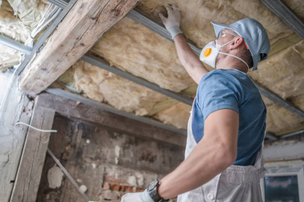 Types of Insulation We Offer in Danville, VA