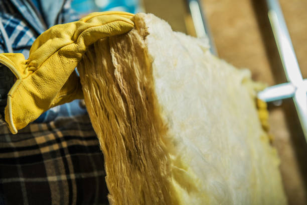 Best Specialized Insulation Services in Danville, VA
