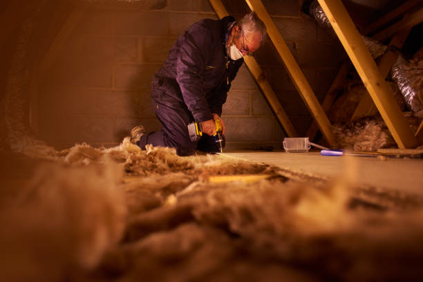 Professional Insulation Contractor in Danville, VA